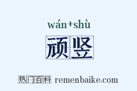 顽竖是什么意思的图片